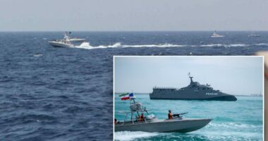 Iran doesnât need a navy to choke the worldâs oil lifeline â just a swarm of 'mosquito' boats